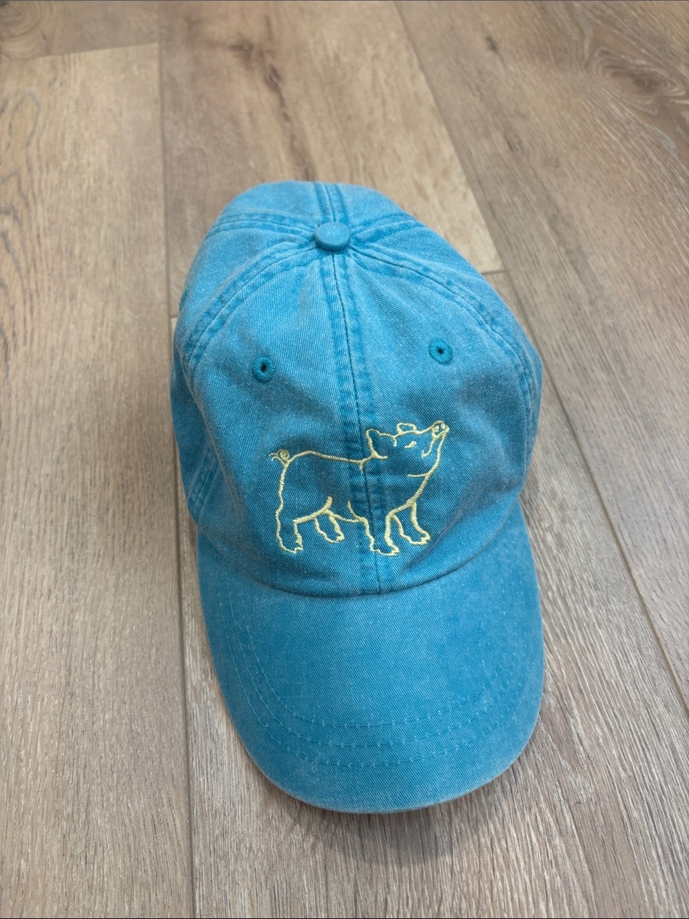 Adams Teal Women's Baseball Cap with Yellow Pig Embroidery